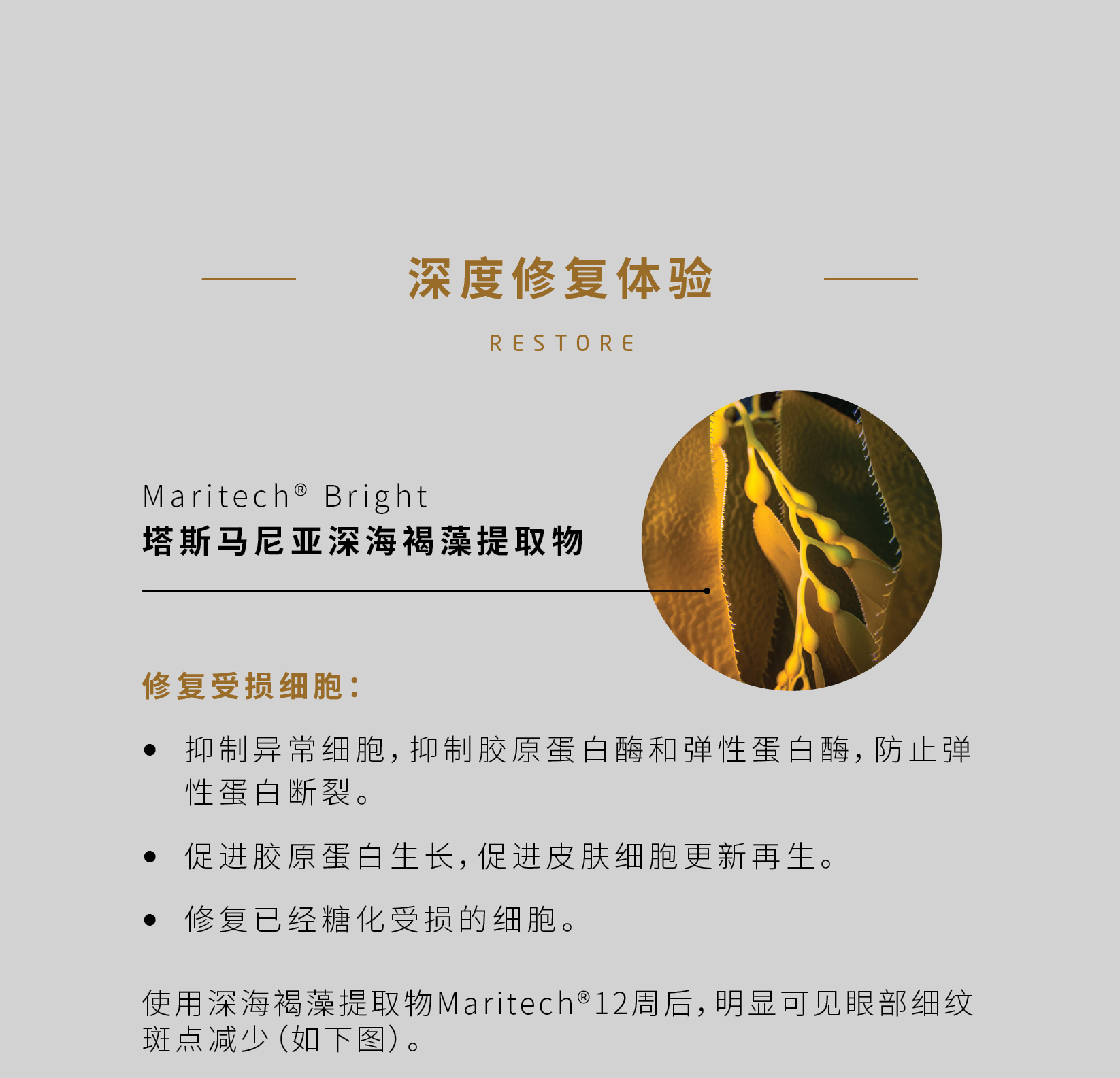 详情_08.jpg